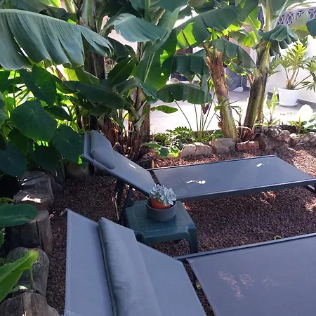 Casa El Lagar La Guancha